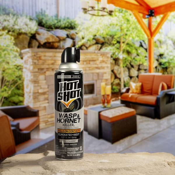 Hot Shot Wasp & Hornet Killer Spray, For Insects Eliminates the Nest, Sprays Up To 27 Feet, 14 fl Ounce, 2 Pack